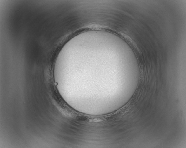 X0000073480208200607310859