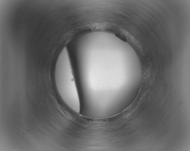 X0000073480209200607310859