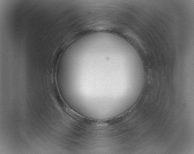 X0000073480210200607310859