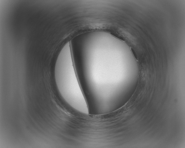 X0000073480211200607310859