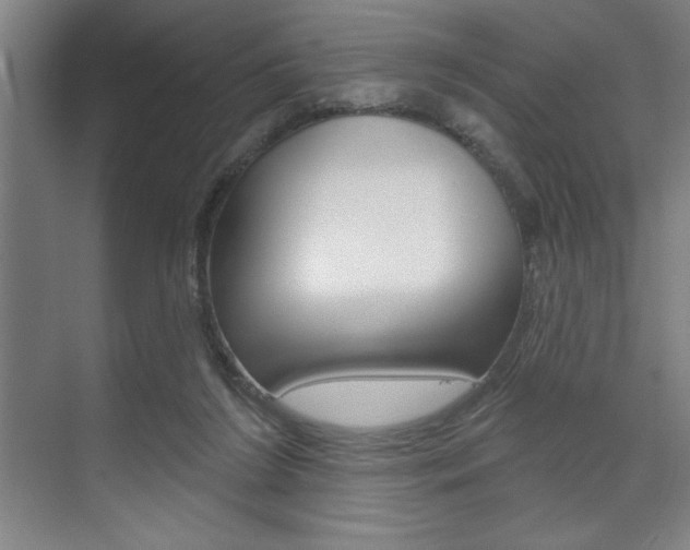 X0000073480212200607310859