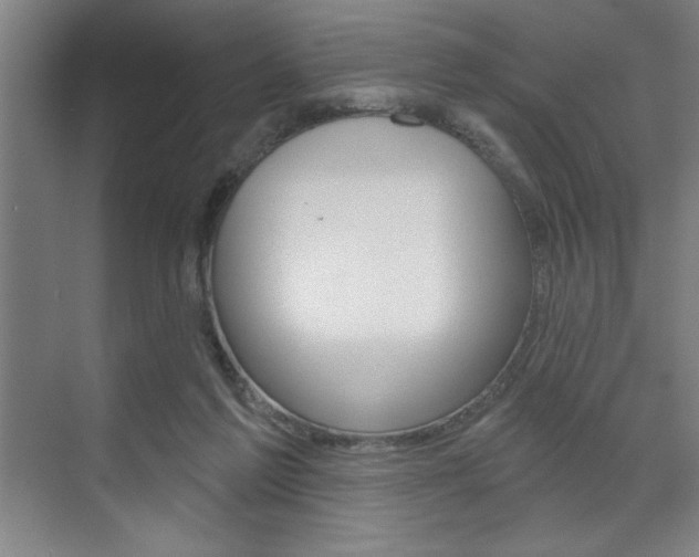 X0000073480213200607310859