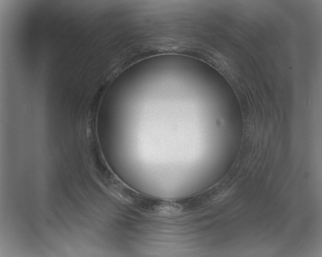 X0000073480215200607310859