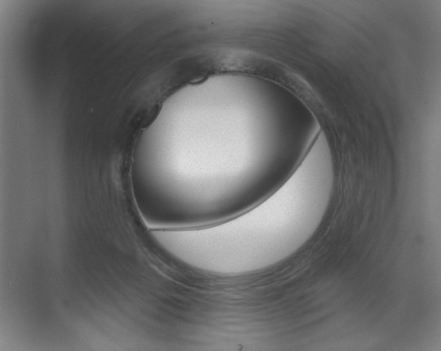 X0000073480217200607310859