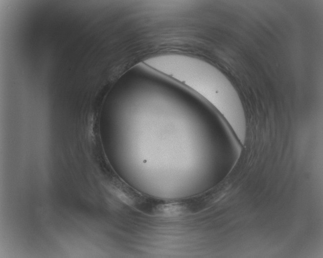 X0000073480219200607310859