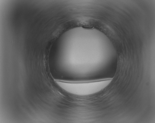 X0000073480223200607310859