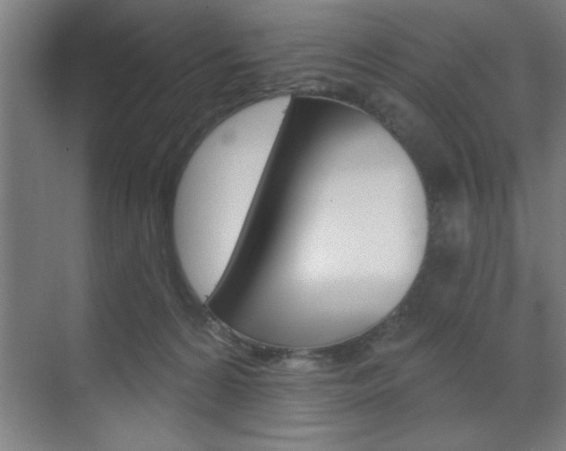 X0000073480224200607310859