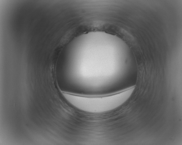 X0000073480225200607310859