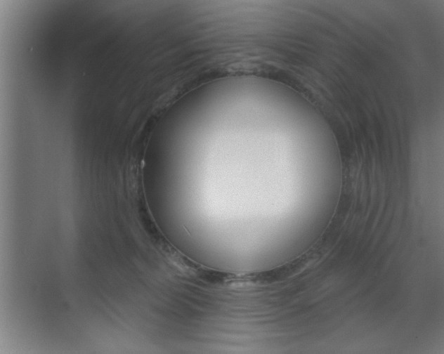 X0000073480228200607310859