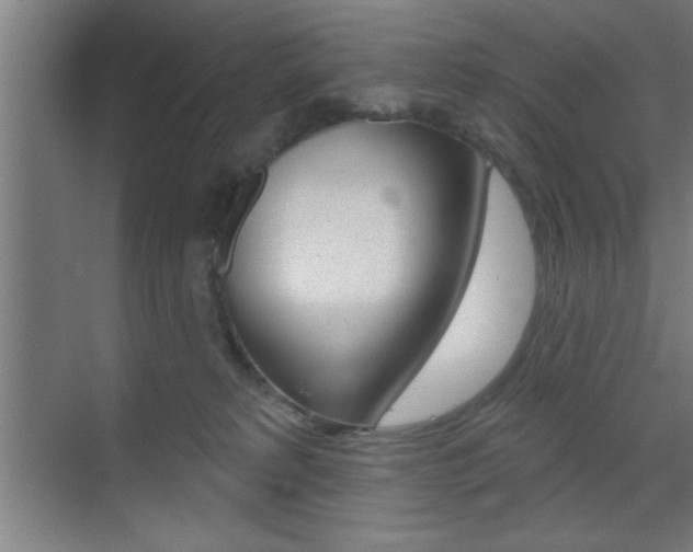 X0000073480229200607310859