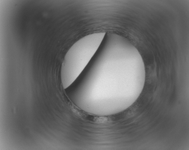 X0000073480230200607310859