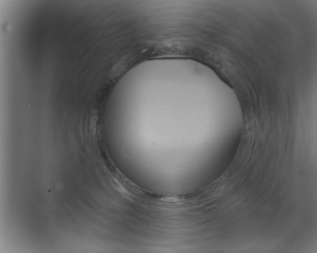 X0000073480231200607310859