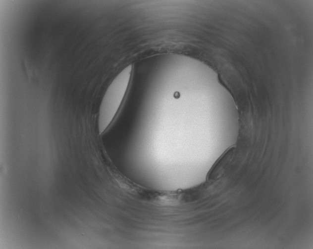 X0000073480232200607310859