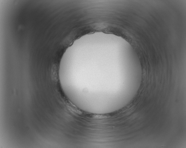 X0000073480234200607310859