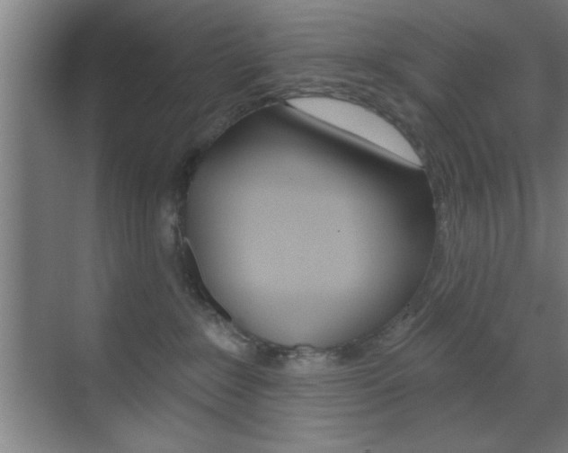 X0000073480235200607310859