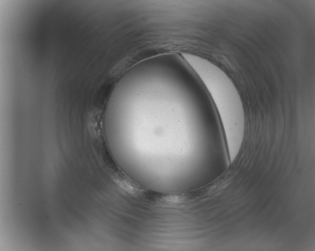 X0000073480237200607310859