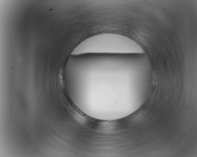 X0000073480238200607310859