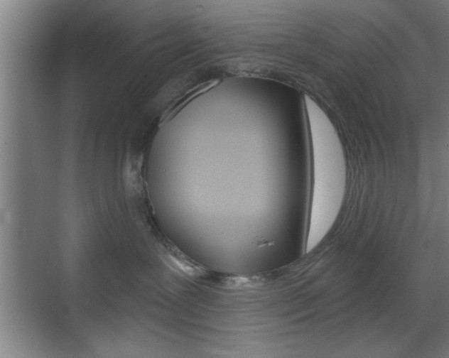 X0000073480239200607310859