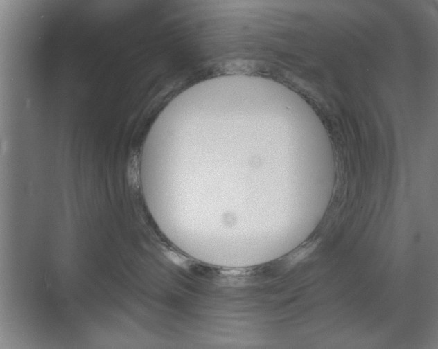 X0000073480240200607310859