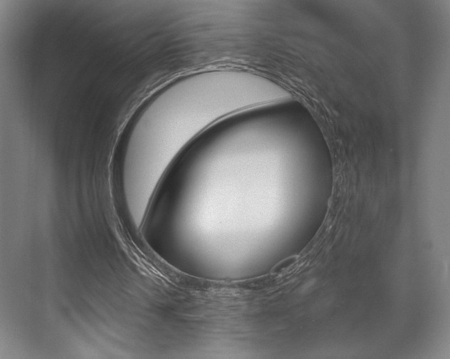 X0000073480242200607310858