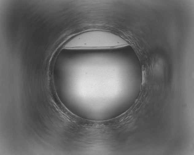 X0000073480243200607310858