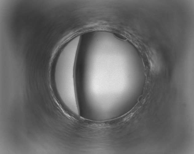 X0000073480245200607310858