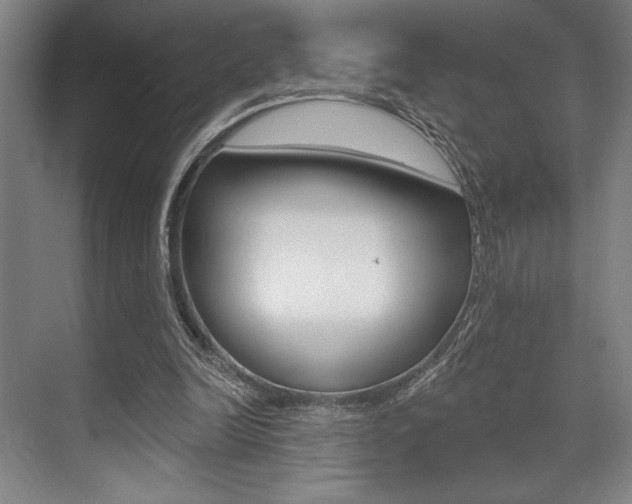 X0000073480246200607310858