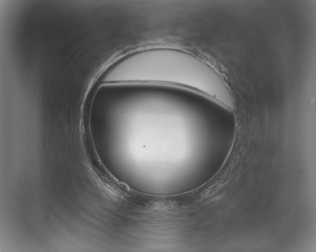 X0000073480248200607310858