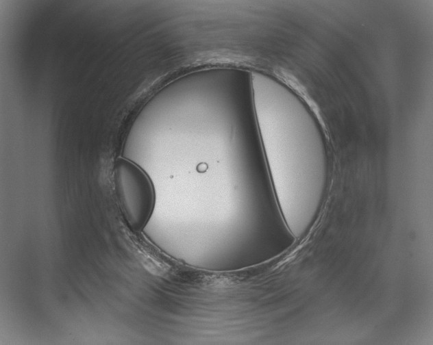 X0000073480249200607310858