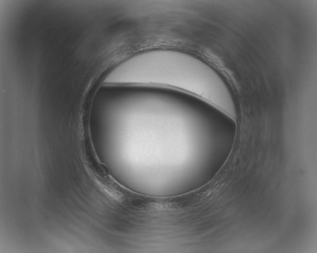 X0000073480250200607310858