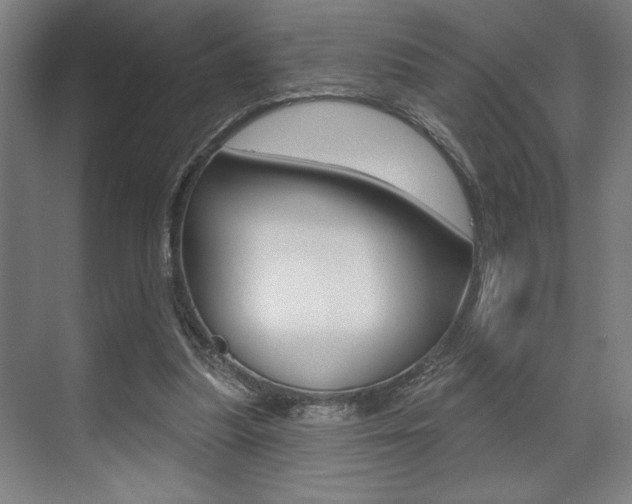 X0000073480251200607310858