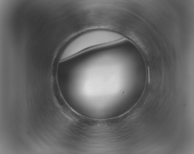 X0000073480252200607310858