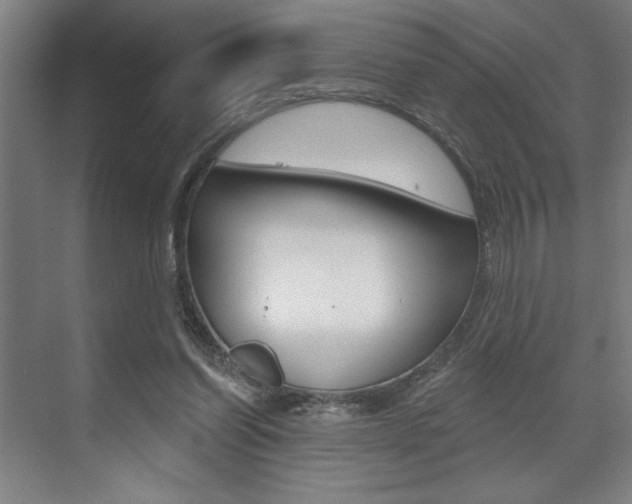 X0000073480254200607310858