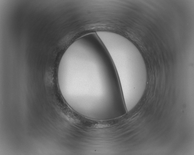 X0000073480255200607310858