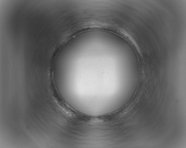 X0000073480257200607310858