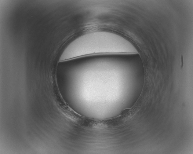 X0000073480258200607310858