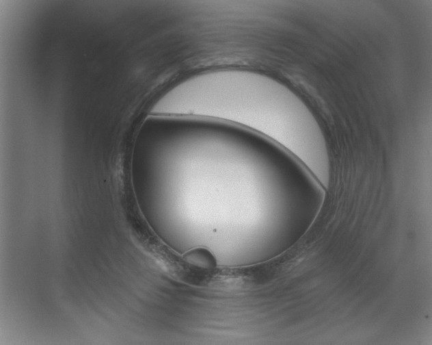 X0000073480260200607310858