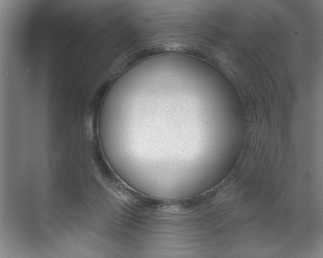 X0000073480262200607310858