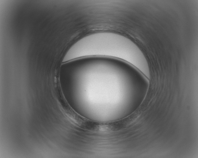 X0000073480264200607310858