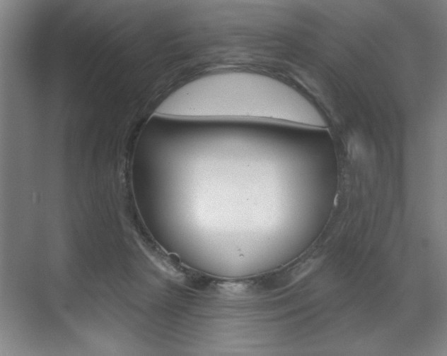 X0000073480265200607310858