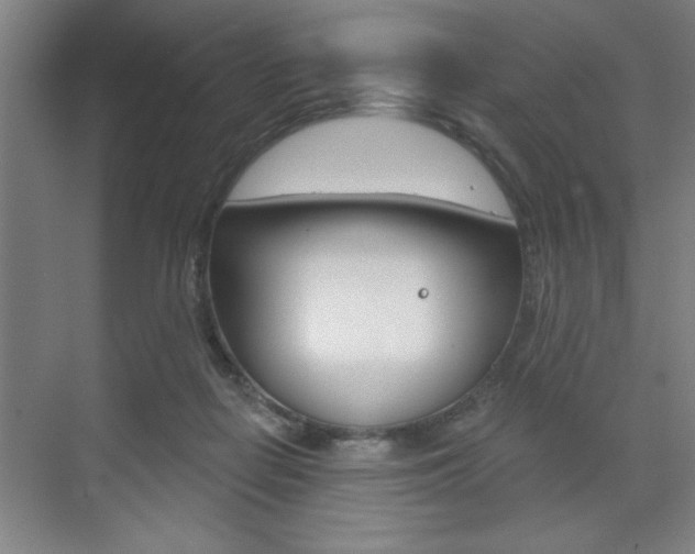 X0000073480266200607310858