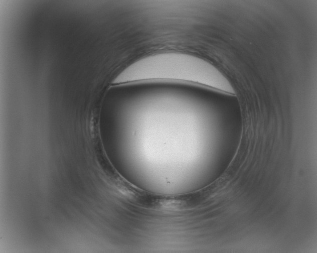 X0000073480268200607310859