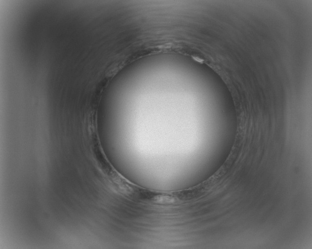 X0000073480272200607310859