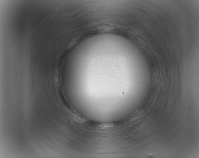 X0000073480274200607310859