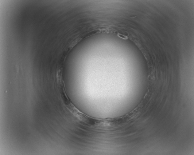 X0000073480276200607310859