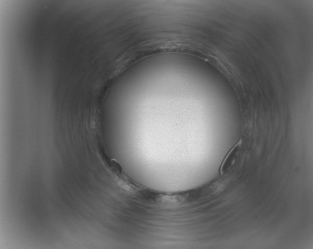 X0000073480277200607310859