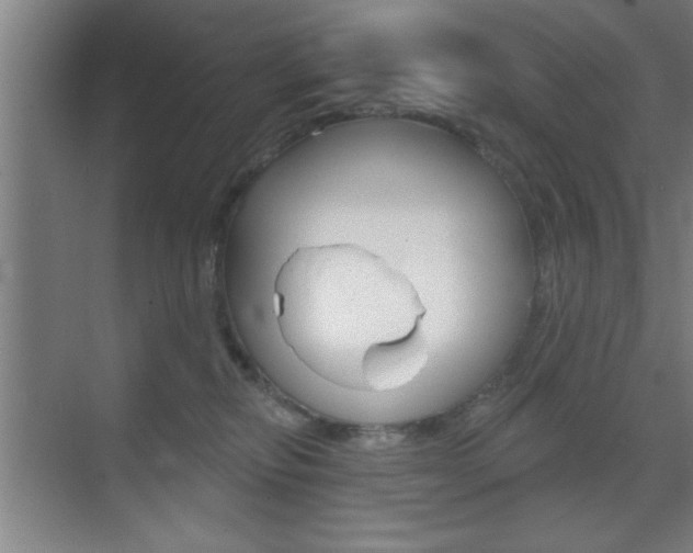 X0000073480278200607310859