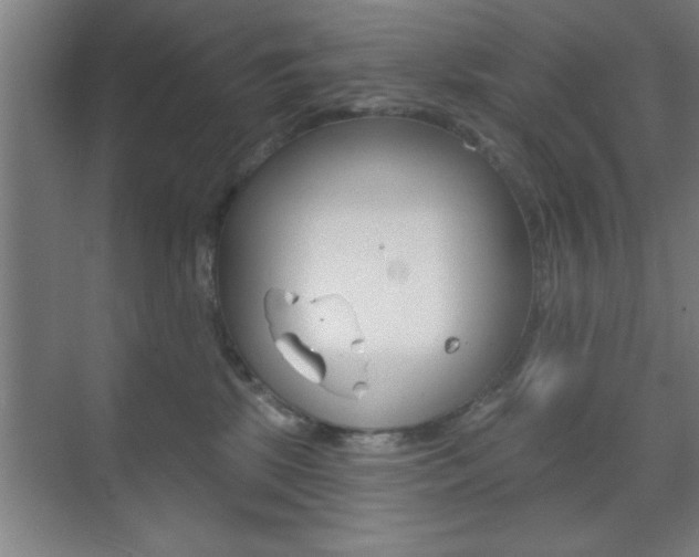 X0000073480281200607310859