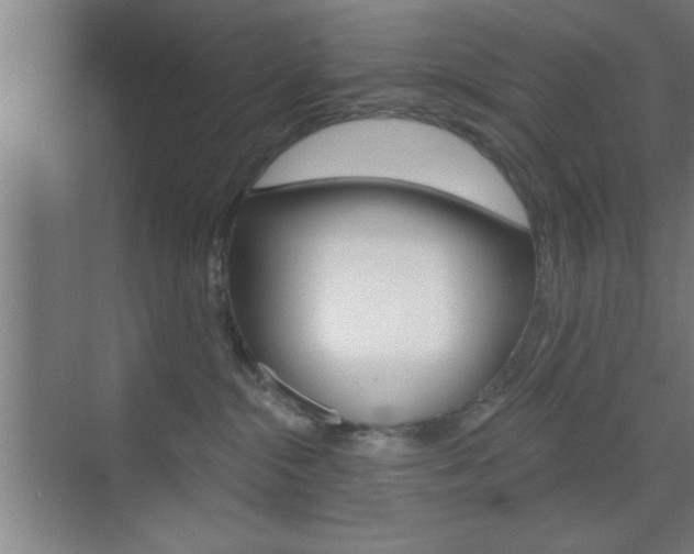 X0000073480284200607310859