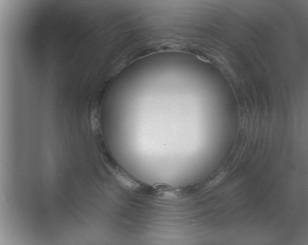 X0000073480285200607310859